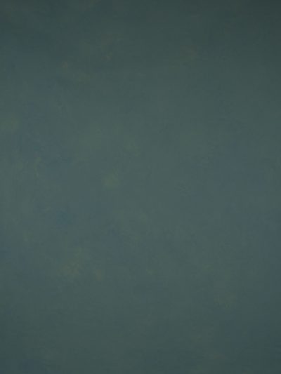 14503 Tirquize Green Low Text L