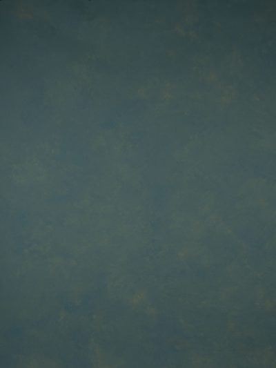 14520 Green Tirquize Mid Text L
