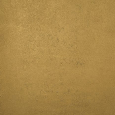 14601 Gold Low Text XS