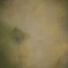 14611 Green Ochre Mid Text L
