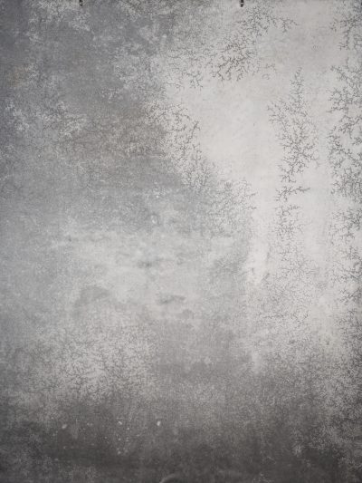 14629 Grey Strong Text L