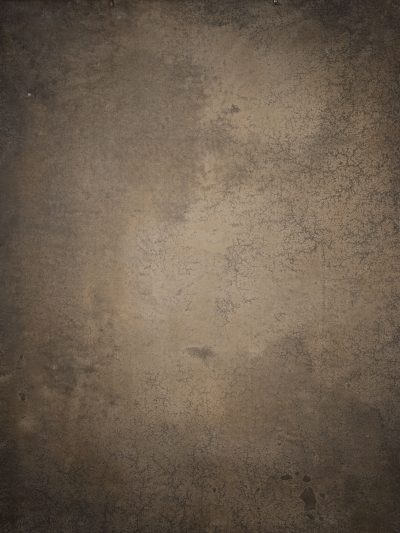14633 Warm Grey Brown Strong Text L