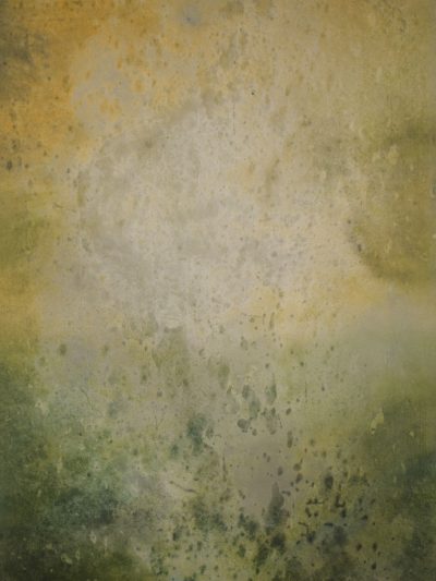 14679 Green Ochre Strong Text ST