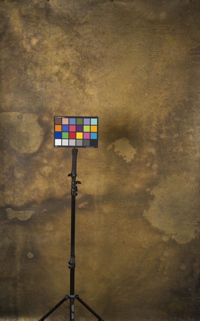 Gold Brown Backdrop