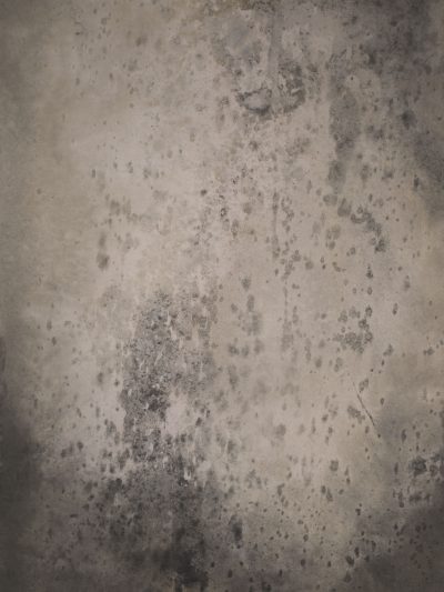 14692 Warm Grey Strong Text ST