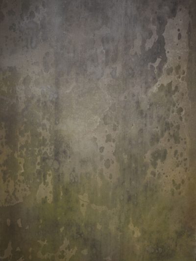 14695 Grey Green Strong Text ST