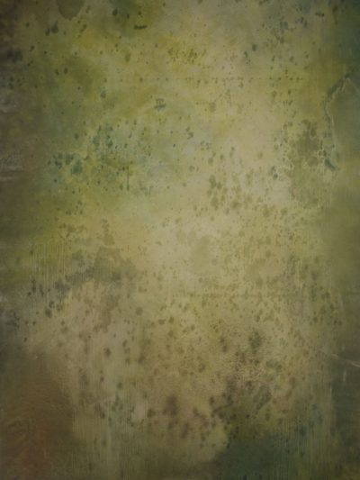 14702 Green Brown Strong Text ST