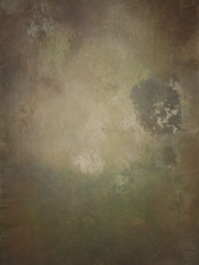 14703 Brown Green Mid Text ST