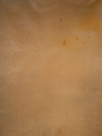 14755 Ochre Low Text M