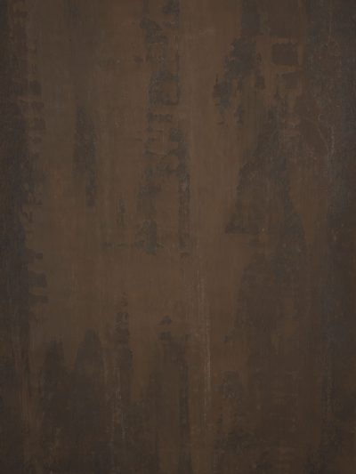 14804 Brown Strong Text XS
