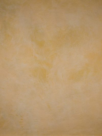 14833 Ochre Mid Text L