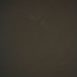 14843 Brown Low Text L