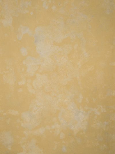 14920 Ochre Strong Text XS