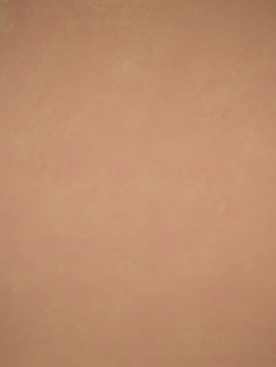 14931 Beige Rose Low Text L
