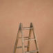 14931 Beige Rose Low Text La