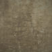14947 Warm Grey Brown Strong Text L