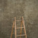 14947 Warm Grey Brown Strong Text La