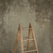 14952 Warm Grey Brown Strong Text La