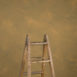 14991 Ochre Mid Text Ma