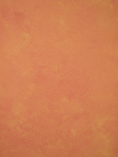 15084 Orange Low Text XS