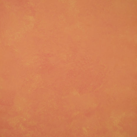 15084 Orange Low Text XS