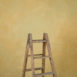 15091 Ochre Mid Text La