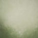 15093 Light Green Mid Text L