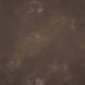 15169 Brown Mid Text ST