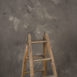 15171 Warm Grey Mid Text STa