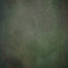 15221 Green MId Text L