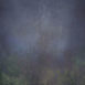 15223 Purple Green Strong Text L