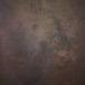 15235 Brown Strong Text L