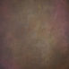 15252 Brown Mid Text M