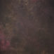 15259 Purple Strong Text M