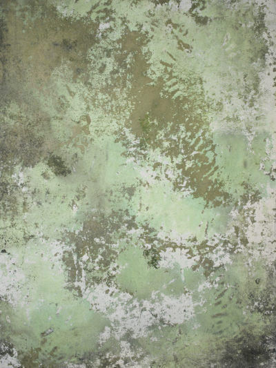 15267 Green Strong Text M