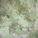15267 Green Strong Text M