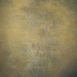 15282 Gold Blue Mid Text M