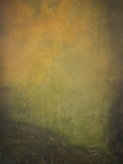15286 Ochre Green Mid Text ST