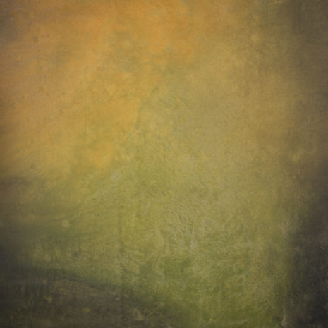 15286 Ochre Green Mid Text ST