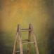 15286 Ochre Green Mid Text STa