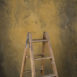 15287 Ochre Strong Text STa