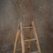15297 Brown Strong Text STa