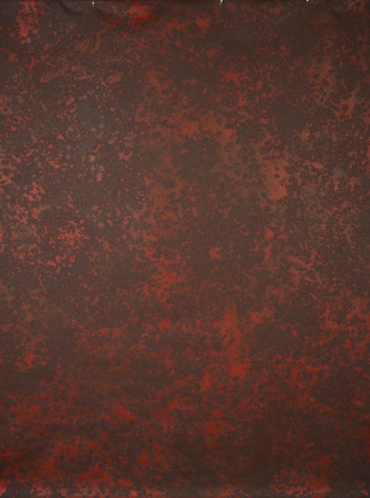 14087 Red Photography Backdrop Strong Text L