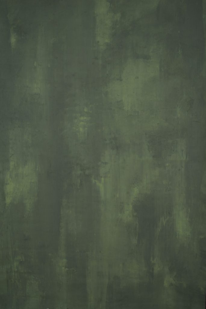 8 Best Green Backdrops for Eco-Themed and Lifestyle Photography 3 Army Green Backdrop