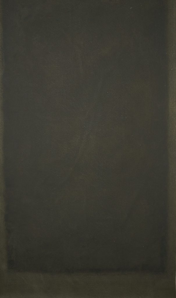 8 Best Green Backdrops for Eco-Themed and Lifestyle Photography 8 Dark Green Backdrop