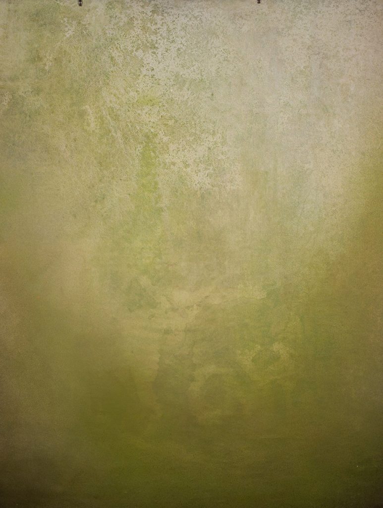 Top 10 Backdrops for Headshots Available Online 4 Beige and Green Backdrop