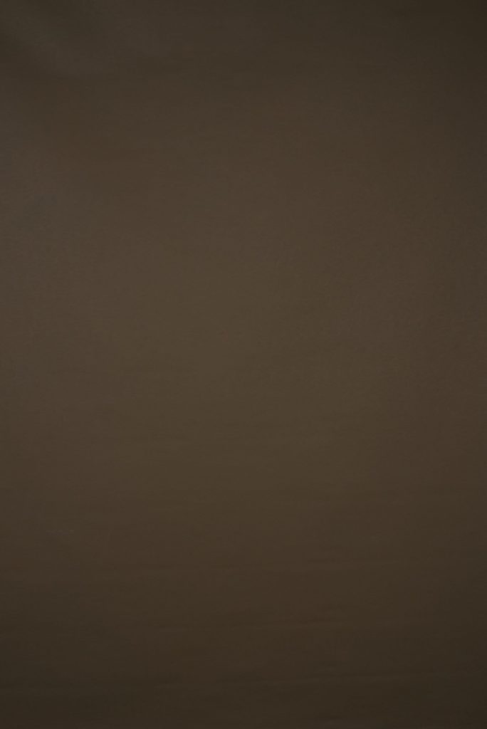 Top 7 Brown Backdrops for Fashion, Branding and Portrait Work 8 Brown Backdrop
