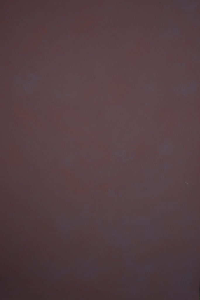 5 Best Violet Backdrops for Stunning Studio Portraits 3 Lavender Violet Backdrop